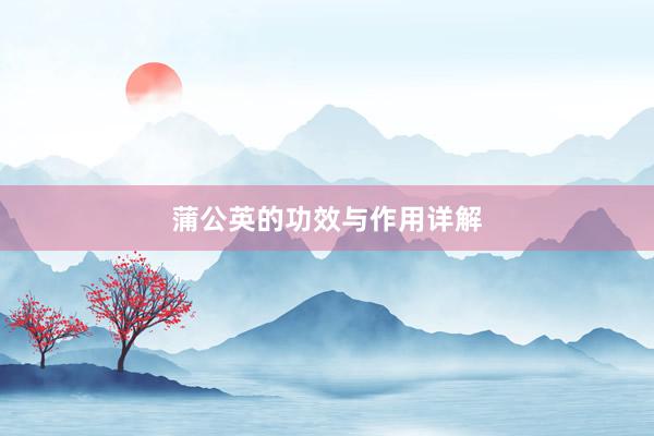 蒲公英的功效与作用详解