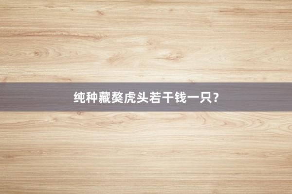 纯种藏獒虎头若干钱一只？